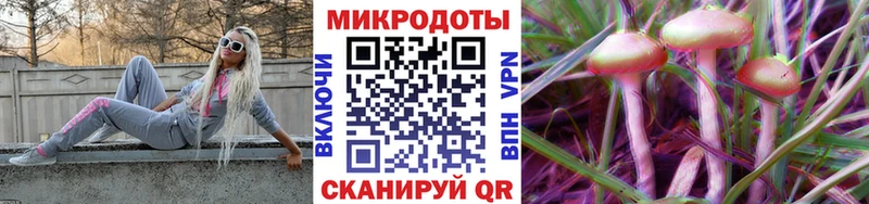 закладка  Муром  Галлюциногенные грибы мухоморы 