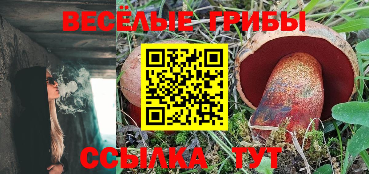 Псилоцибиновые грибы Psilocybine cubensis Муром