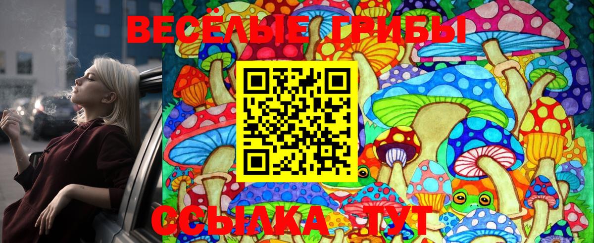 Псилоцибиновые грибы Magic Shrooms  Вход с VPN  Муром  Псилоцибиновые грибы Cubensis 