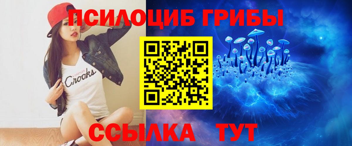 Псилоцибиновые грибы мицелий Муром